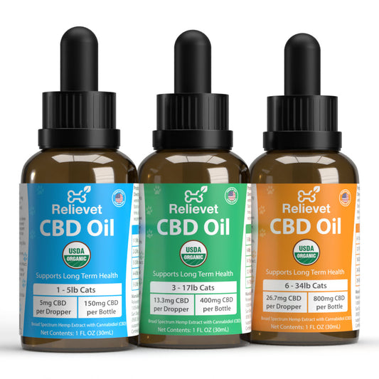 CBD Oil For Cats