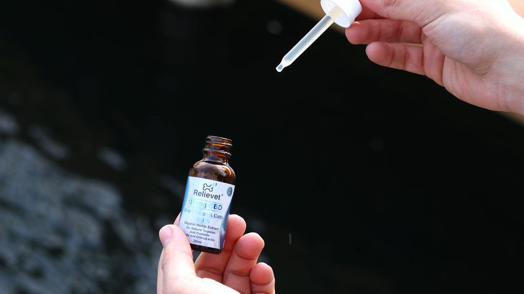 CBD Oil Dosage For Dogs and Cats