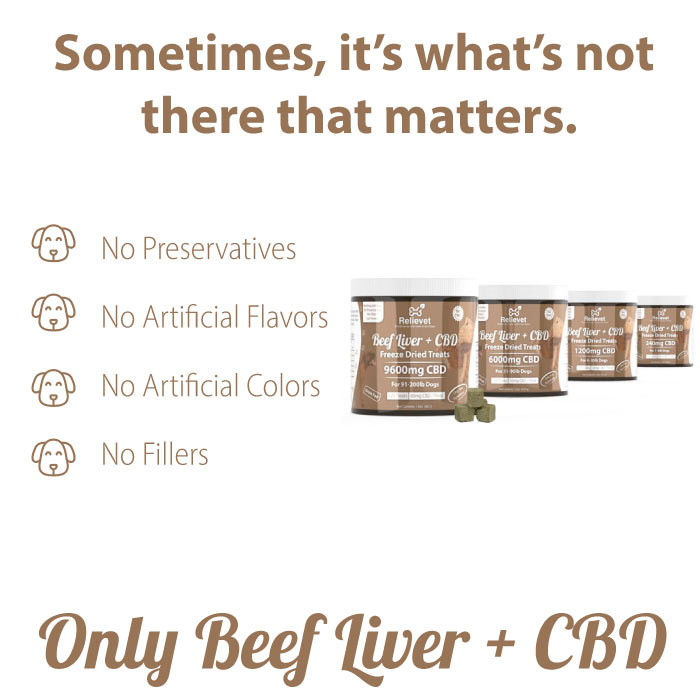CBD Dog Treats