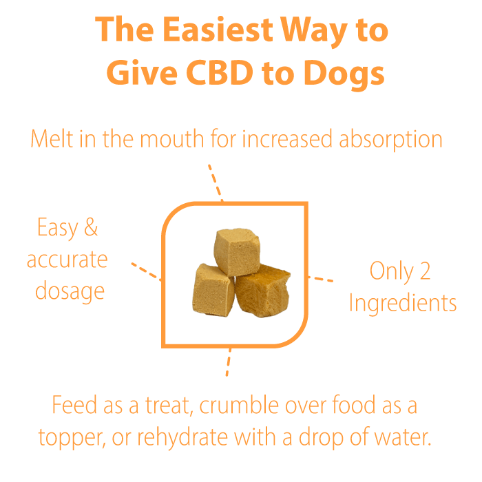 CBD Dog Treats