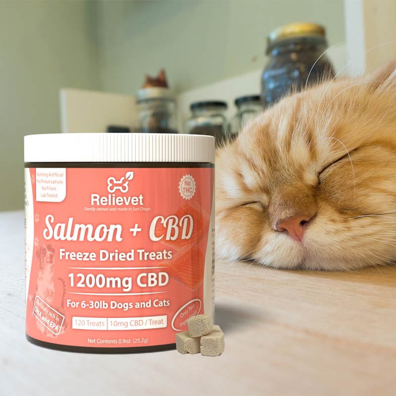 CBD cat treats with cat
