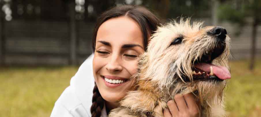CBD for dogs with cancer