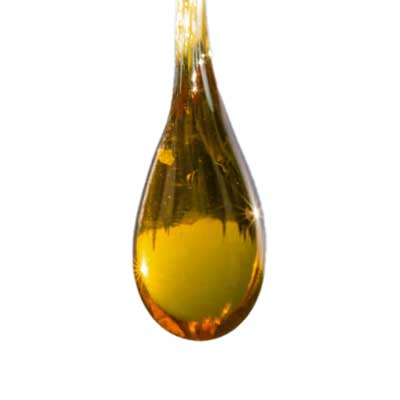cbd extract 