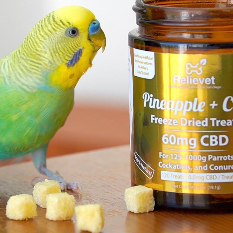 CBD Parrot Treats, Cockatiels, and Conures