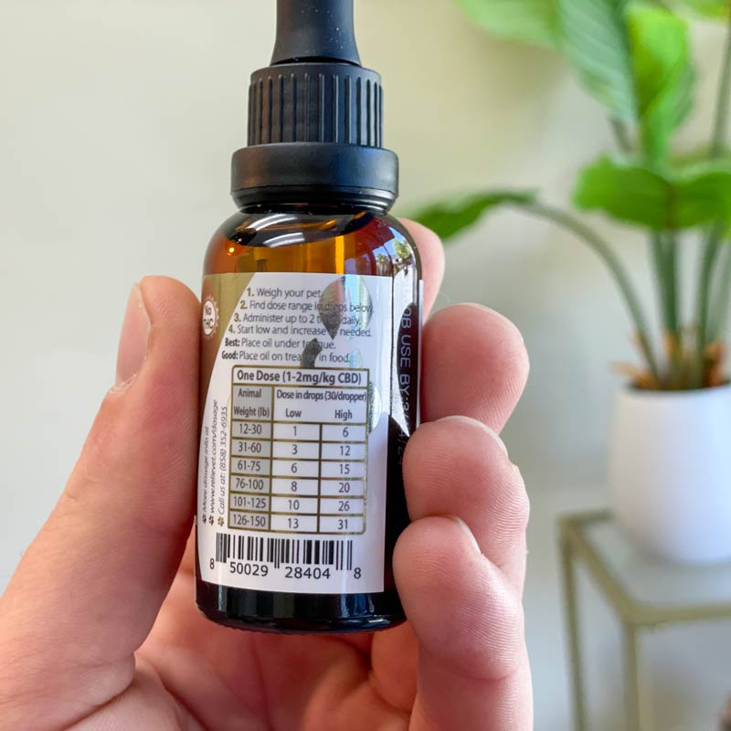 cbd oil for dogs