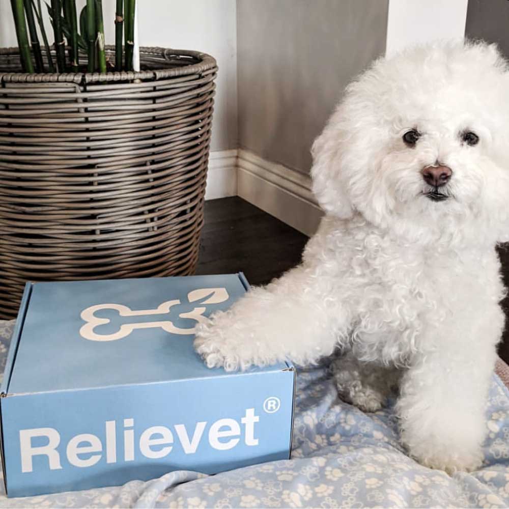 cbd for pets package