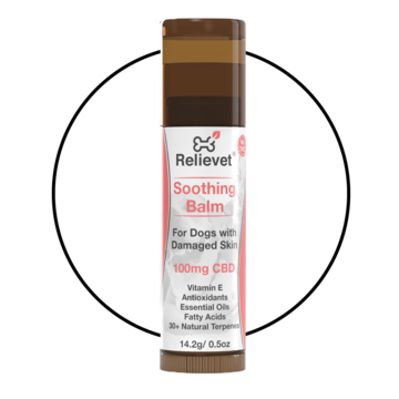 CBD hot spot and itchy skin soothing balm for dogs