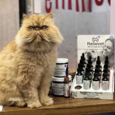 cbd cat treats customer