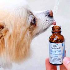cbd for pets customer