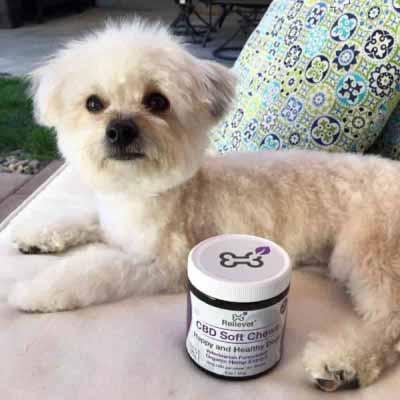 calming chews for dogs customer