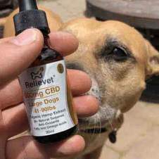 cbd for pets customer