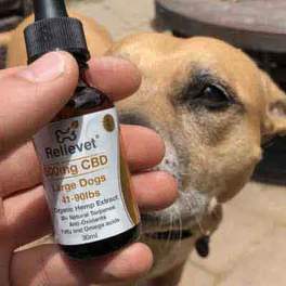Topical CBD for dogs customer