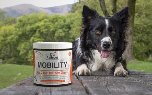 Mobility Hip and Joint Chews For Dogs