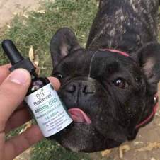 cbd for pets customer