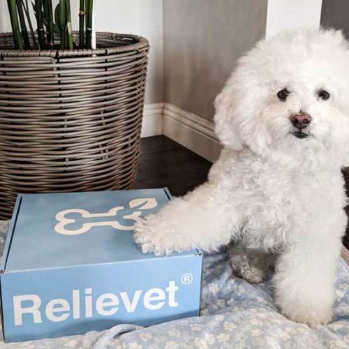 cbd for pets package