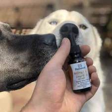 cbd for pets customer