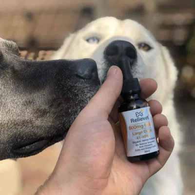 cbd cat treats customer