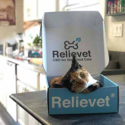 calming chews for dogs customer