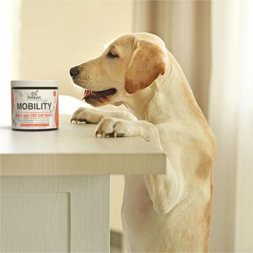Mobility Hip and Joint Chews For Dogs