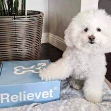 cbd for pets customer