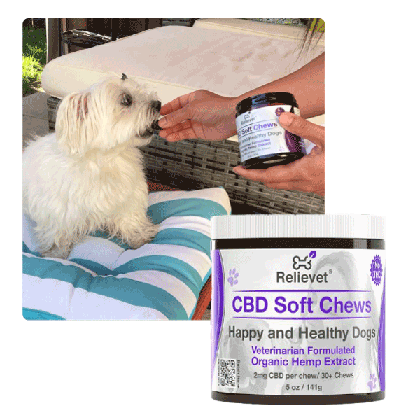 cbd for pets treats collection