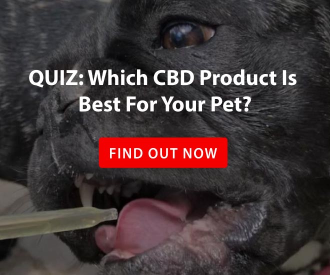 quiz